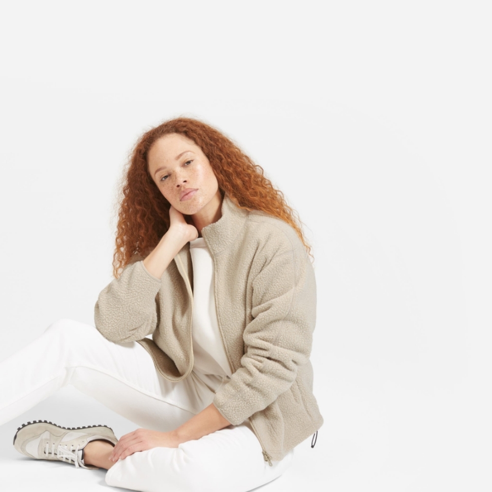 Everlane ReNew Fleece Full-Zip (sold out)